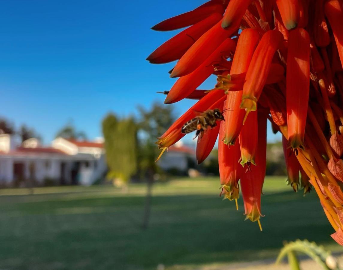 Herdade Do Kuanza Zambujeira do Mar Eksteriør bilde